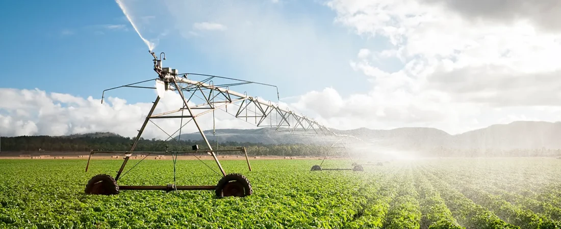 Featured in YES! Magazine: For a Cooler Climate, Focus on Food and Agriculture