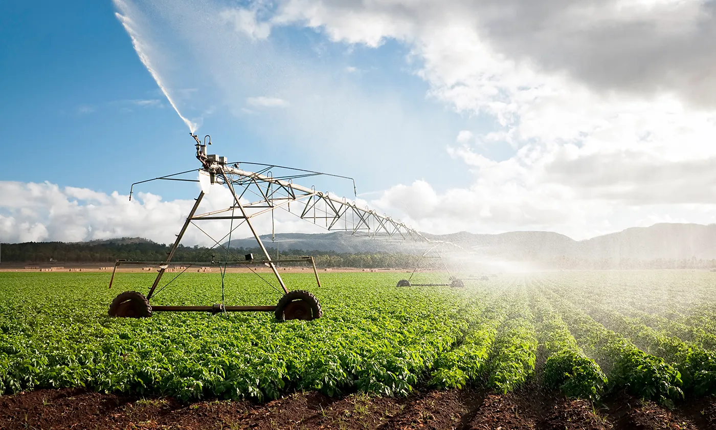 Featured in YES! Magazine: For a Cooler Climate, Focus on Food and Agriculture