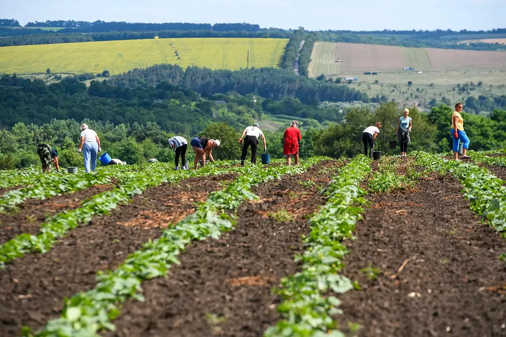 Photo credit: "обробіток землі" by EU-Ukraine cooperation (CC BY SA 2.0)