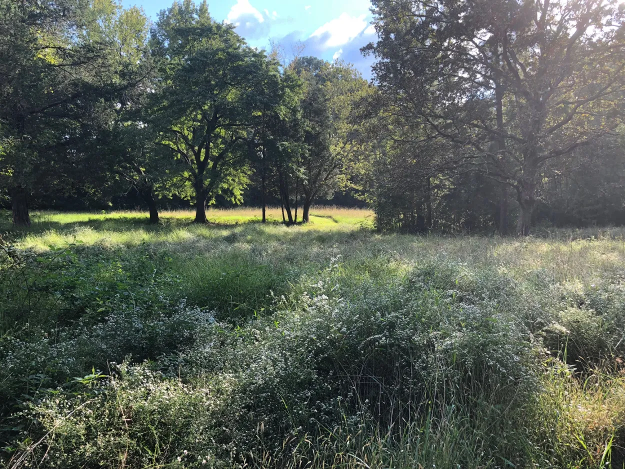 Featured in Resilience: Earthseed Land Collective